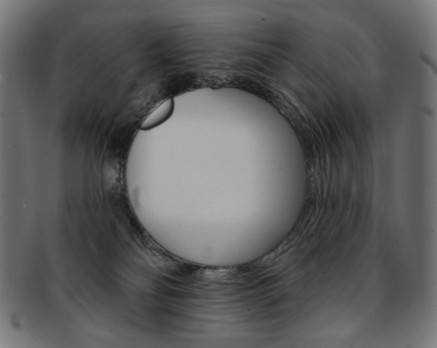 X0000092110134200709121136