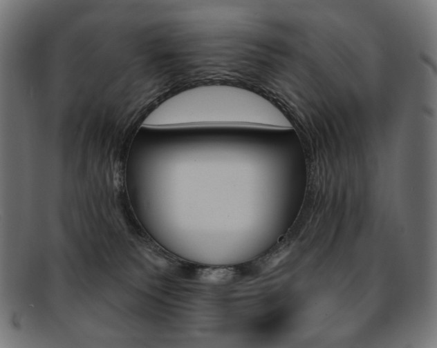 X0000092110135200709121136