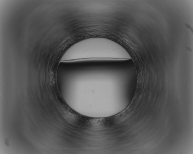 X0000092110136200709121136