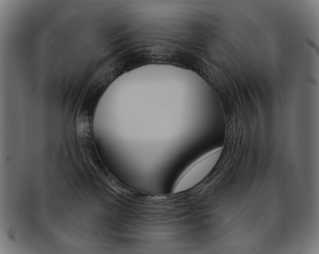 X0000092110137200709121136