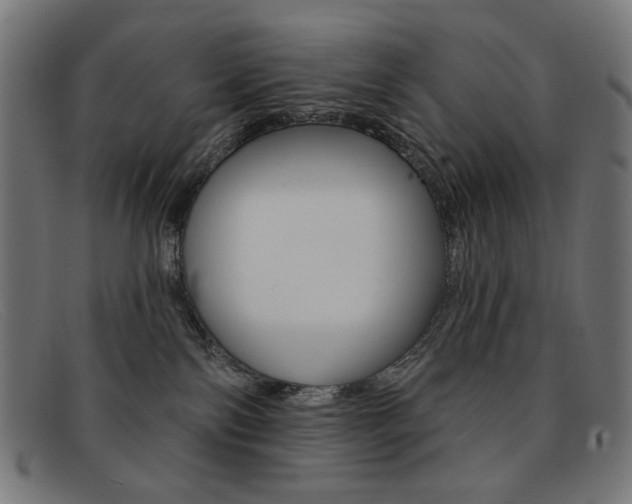 X0000092110138200709121136