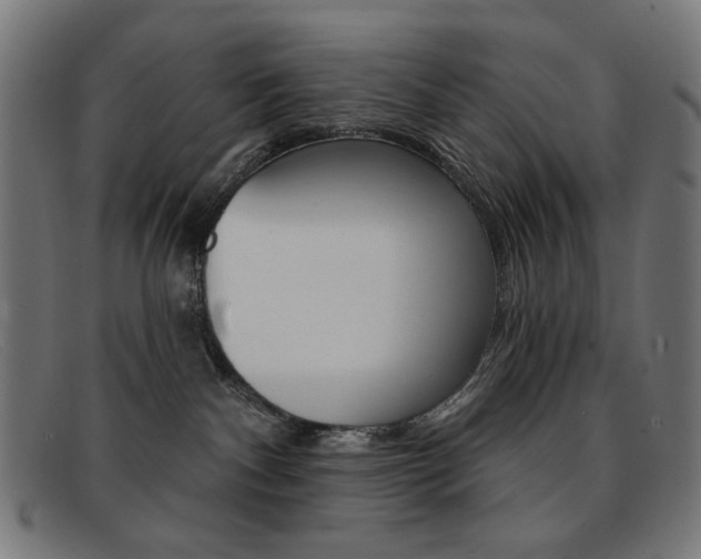 X0000092110140200709121136