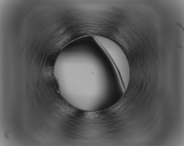 X0000092110141200709121136