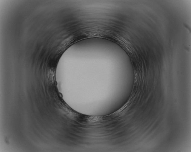 X0000092110142200709121136