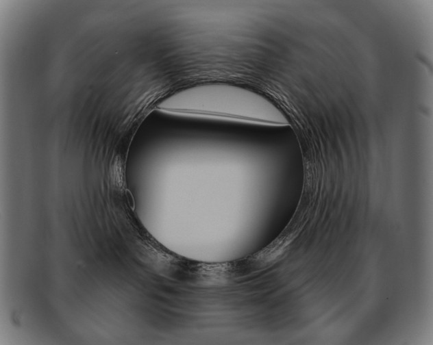 X0000092110143200709121136