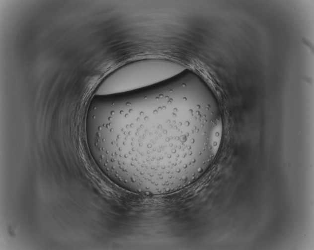 X0000092110145200709121136