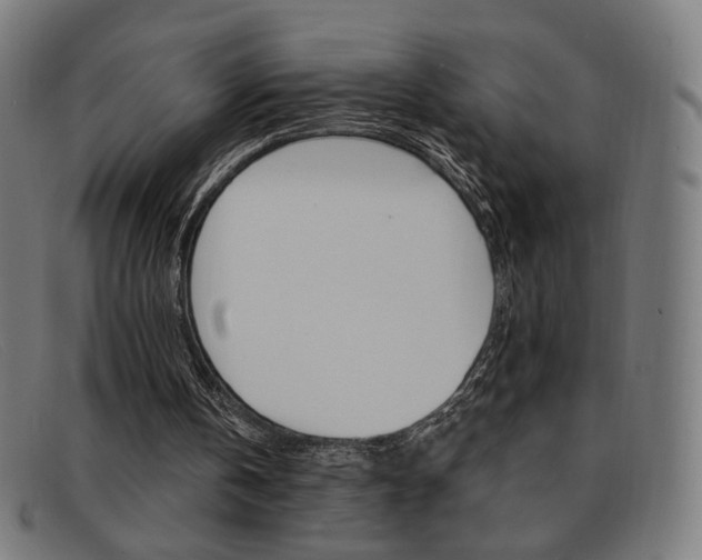 X0000092110146200709121136