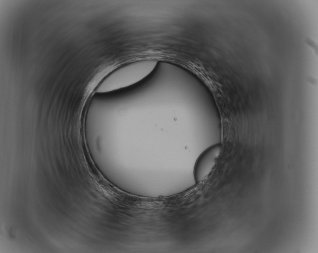 X0000092110147200709121136
