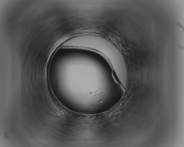 X0000092110148200709121136