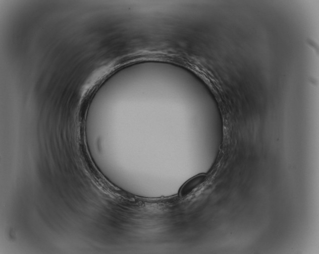 X0000092110149200709121136
