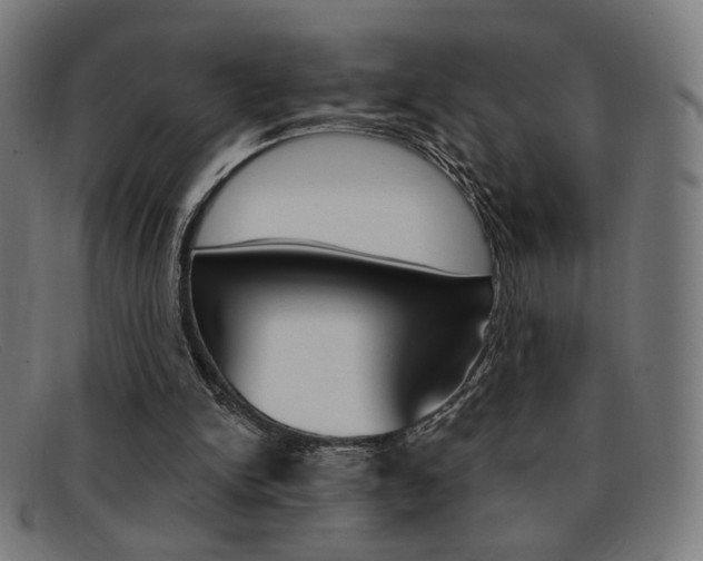 X0000092110150200709121136