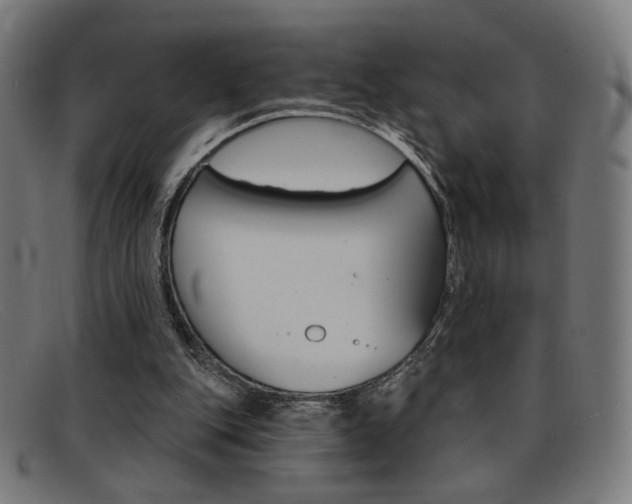 X0000092110151200709121136