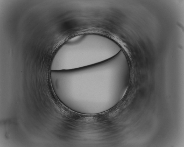 X0000092110153200709121136
