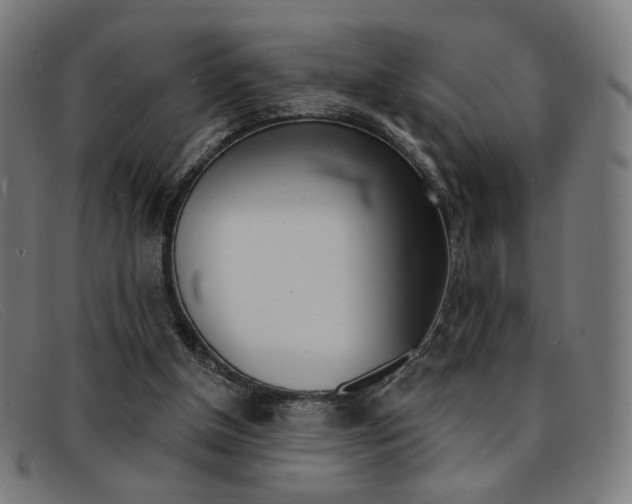 X0000092110154200709121136