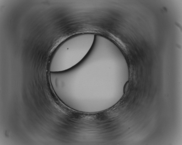 X0000092110155200709121136