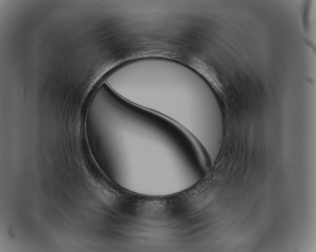 X0000092110156200709121136