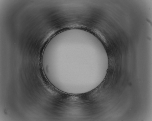 X0000092110159200709121136