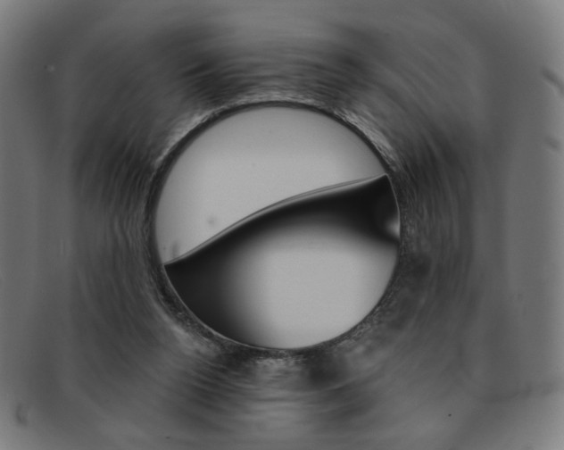 X0000092110160200709121136