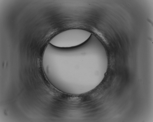 X0000092110161200709121136