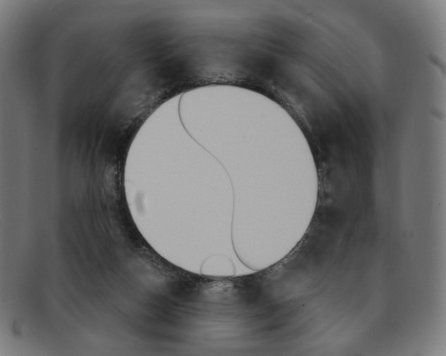 X0000092110162200709121136