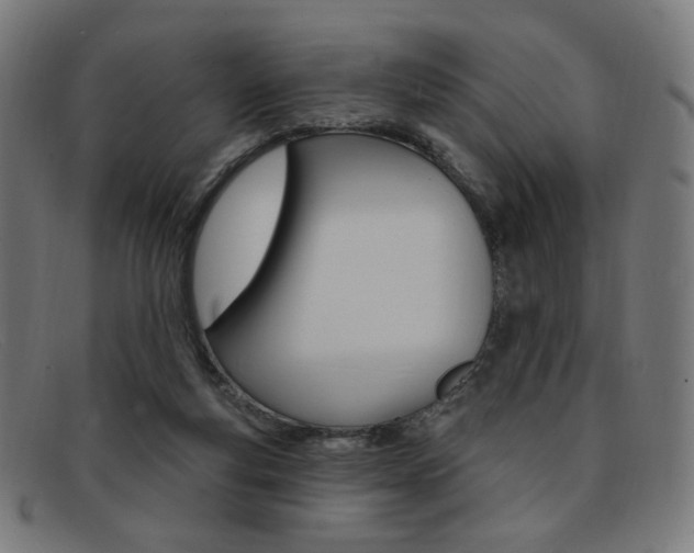 X0000092110163200709121136