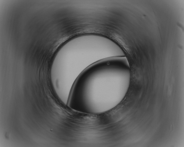 X0000092110164200709121136