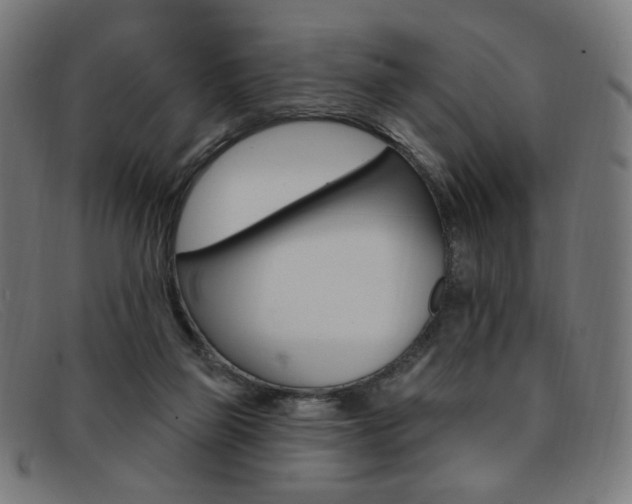 X0000092110165200709121136