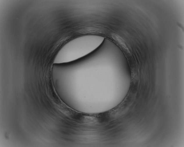 X0000092110167200709121136