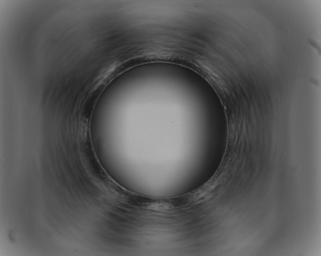 X0000092110168200709121136