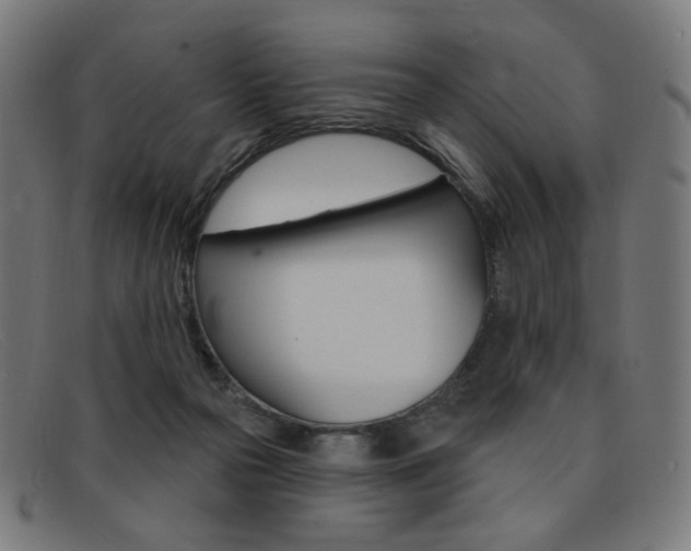 X0000092110169200709121136