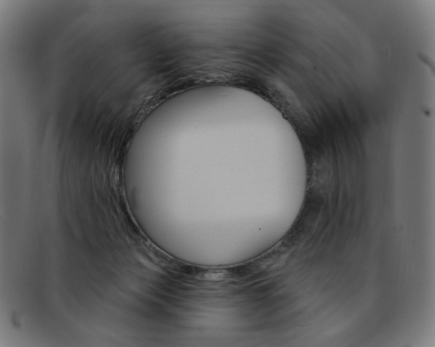 X0000092110173200709121136