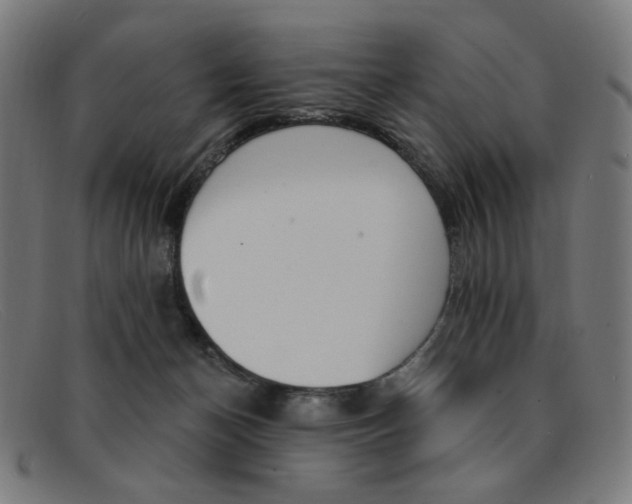 X0000092110174200709121136