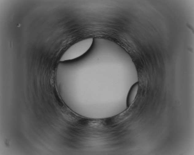 X0000092110175200709121136