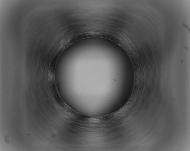 X0000092110176200709121136