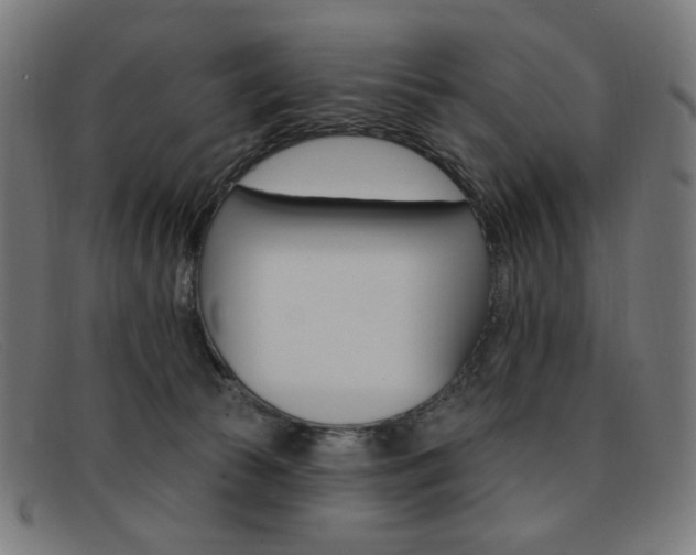 X0000092110177200709121136