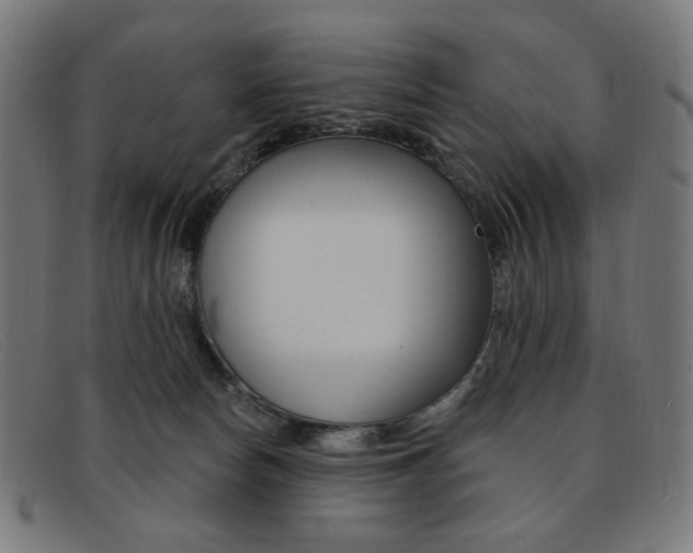 X0000092110178200709121136