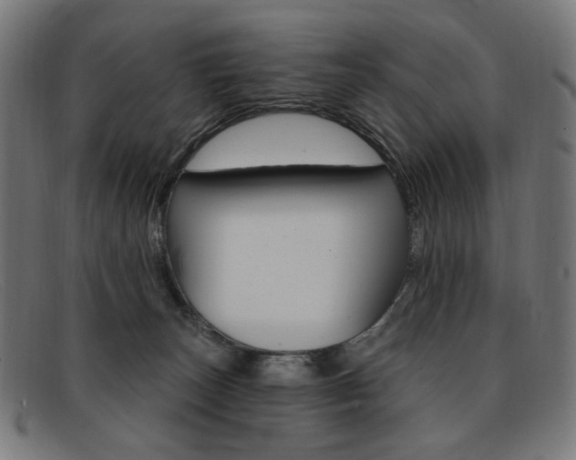 X0000092110179200709121136