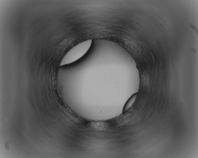 X0000092110181200709121136
