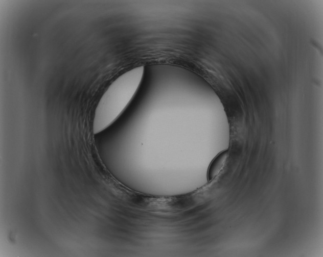 X0000092110182200709121136
