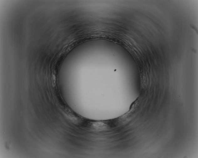 X0000092110183200709121136