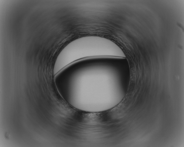 X0000092110184200709121136