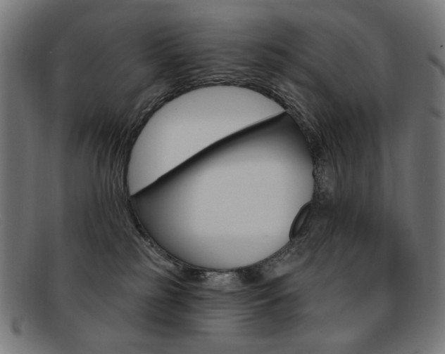 X0000092110185200709121136