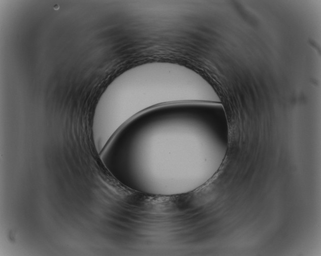 X0000092110186200709121136