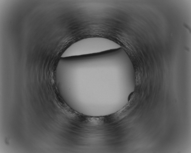 X0000092110187200709121136