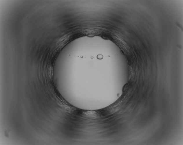 X0000092110189200709121136