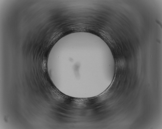 X0000092110190200709121136