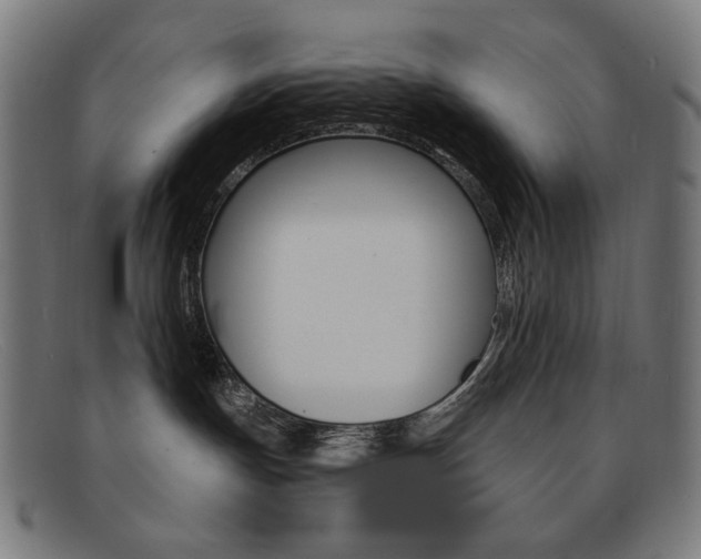 X0000092110191200709121136