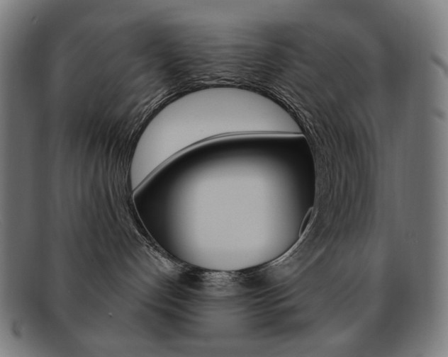 X0000092110192200709121136