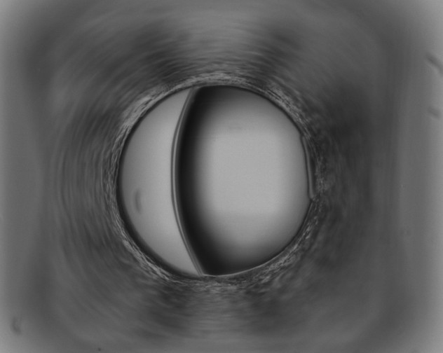 X0000092110193200709121136