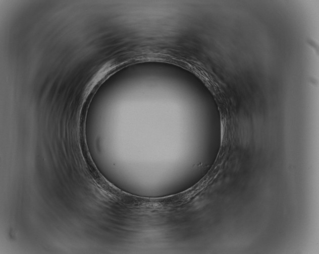 X0000092110195200709121136